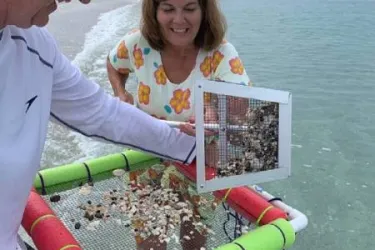 Shark Teeth Adventure - Family friendly Shark Teeth Adventure Tour - for all kids 5 to 95! (Includes a 'bite'!) Photo