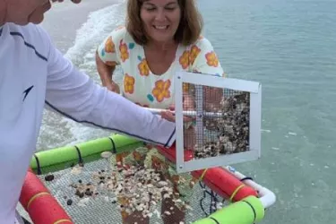 Shark Teeth Adventure - Family friendly Shark Teeth Adventure Tour - for all kids 5 to 95! (Includes a 'bite'!) Photo