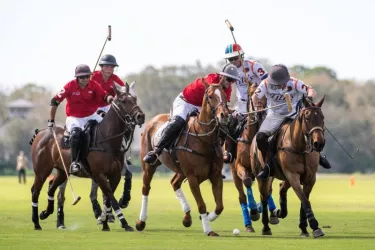 Sarasota Polo Club Photo