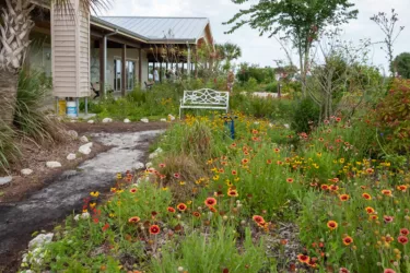 Sarasota Audubon Society Nature Center - The Nature Center is nestled within a native plant garden at the Celery Fields. Photo