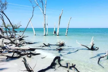 Longboat Key Kayaking - Longboat Key Kayaking Photo