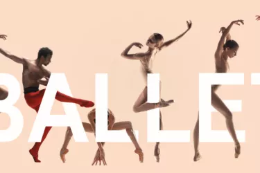 Classical Ballet pre-professional training and professional performances - Pre-professional classical ballet training true Vaganova method. Classes of Ballet, Pointe, Contemporary, Boys Class, Vari... Photo