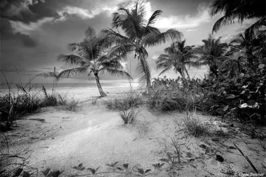 Estero Island - "The beaches of Florida are among some of the most beautiful in the world. Our heart-felt and economic appreciation of our beaches should necessitate our involvement in protecting t... Photo