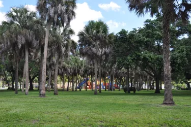 Orange Avenue Park - Spend the day at this wonderful park! It has a basketball court, picnic tables, a playground, swing-set, and benches to sit on. Photo