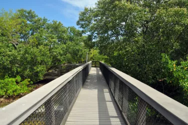 Sarasota Bay Walk Photo